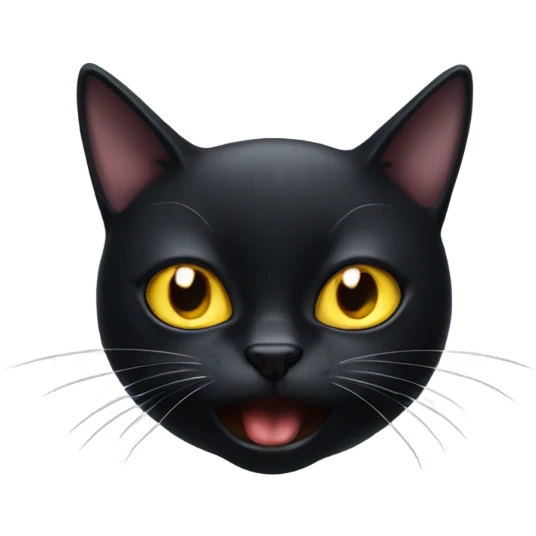 black cat making weird ass face emoji