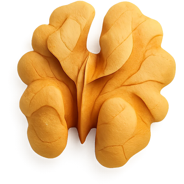 walnuts kerne emoji