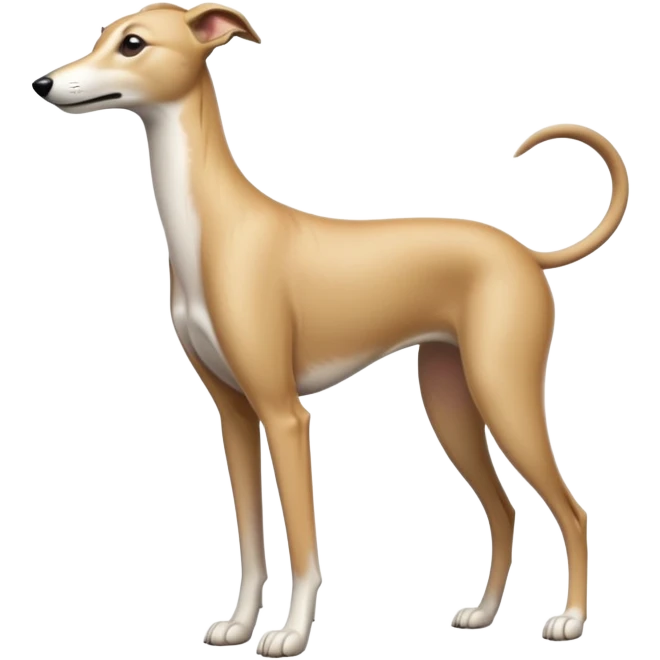 cinematic-[fawn greyhound]-realistic-full-body-standing-emoji,-tail-resting-loosely-beside-its-paws,-head-tilted-dramatically, -sleek-[light fawn]-fur,-simplified-yet-realistic-focused-features,-highly-detailed,-glowing-with-an-almost-sarcastic-glow emoji