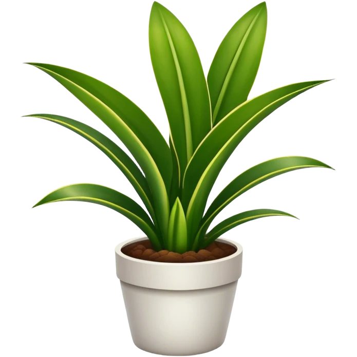 Snake plant in regular pot emoji