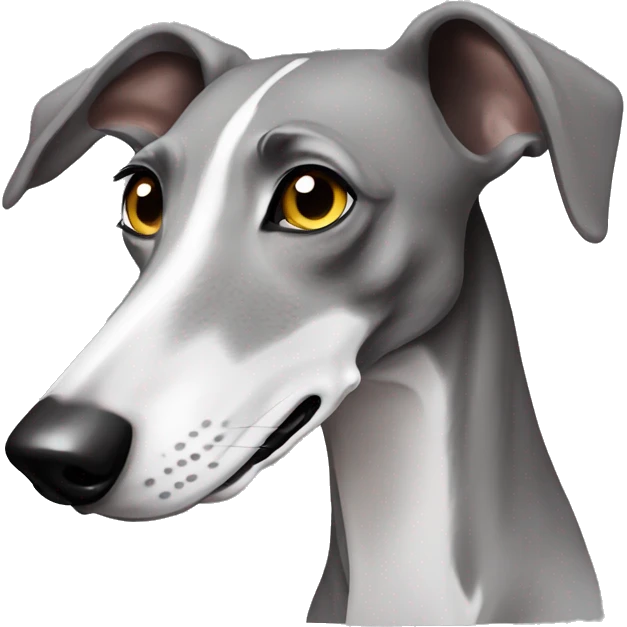 galgo mit kopftuch emoji