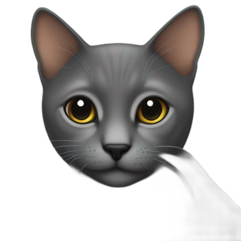 Gato negro emoji