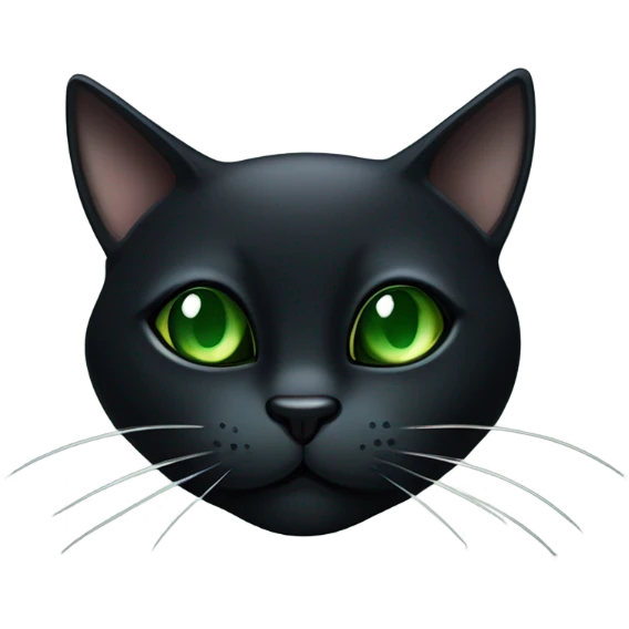Cat noir emoji