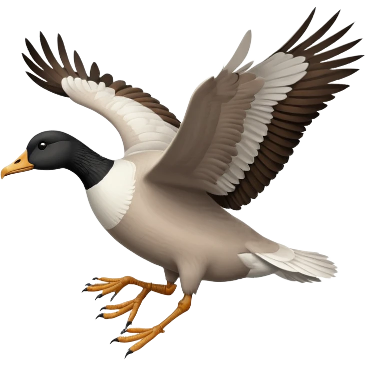 wild goose in flight, with black neck, black feet, brown wings, black-and-white head, white belly emoji