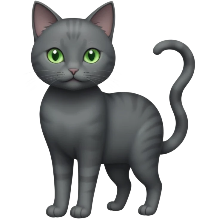 full body view of beautiful female solid dark grey cat with green eyes, grey face, white toes/paws and white patch on her chest emoji