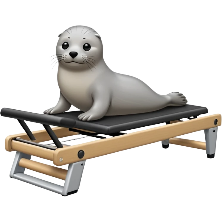 Seal on pilates reformer emoji