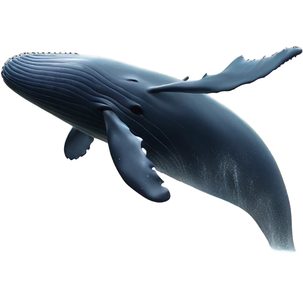 whale emoji
