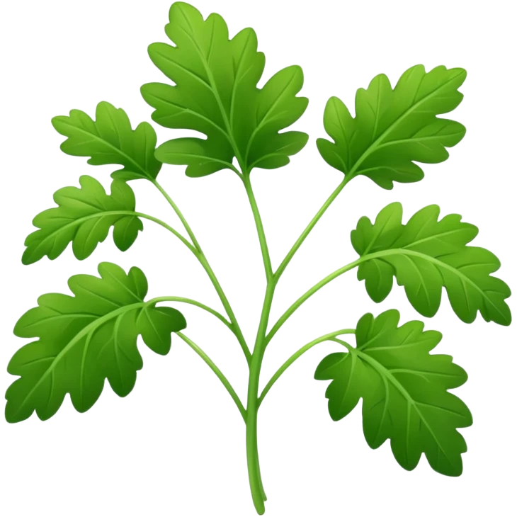 Cilantro  emoji
