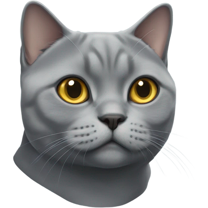 A Grey british shorthair cat emoji
