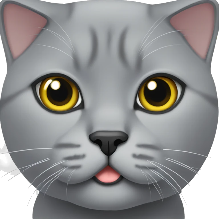 britishshorthair in grey emoji