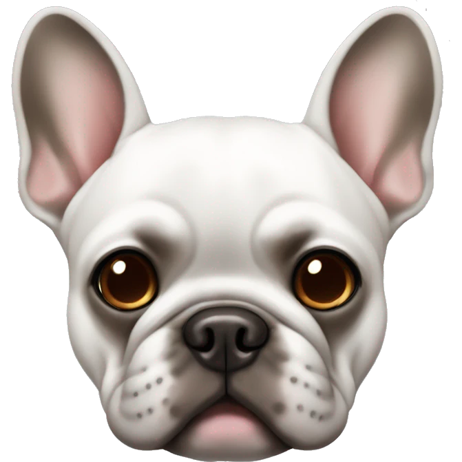 French bulldog white with brown on both sides of face and grey eyes emoji
