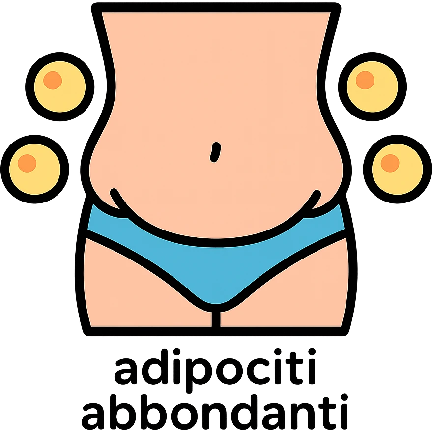 belly with fat accumulation, infographic style, adipocyte icons, light colors, short text 'adipociti abbondanti' emoji