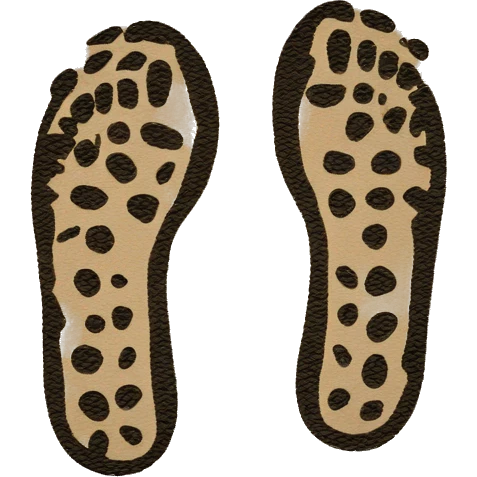 pair of shoe prints in the path emoji