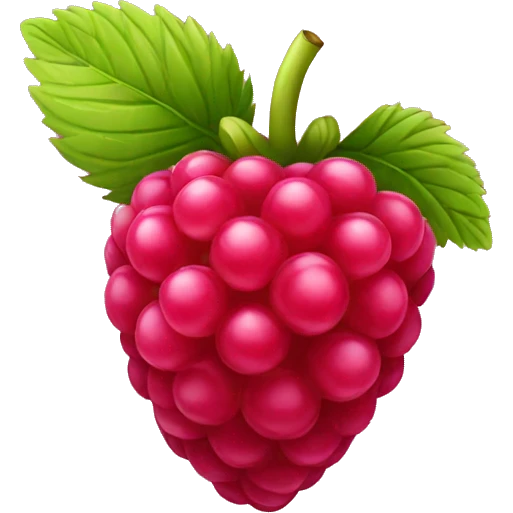 raspberry emoji