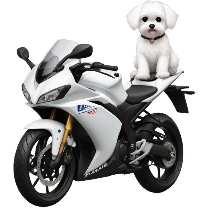 Maltese riding all white Yamaha-r3 emoji
