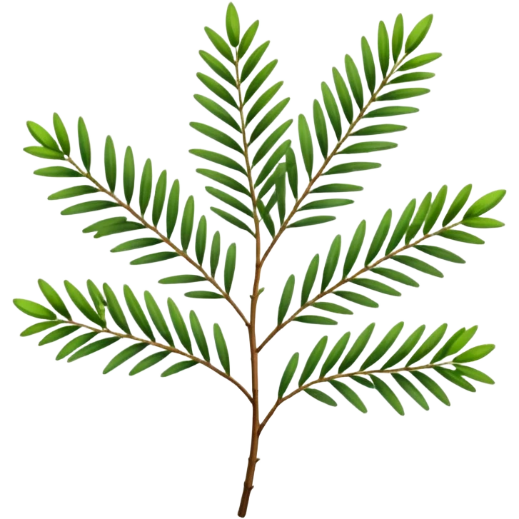 Melaleuca alternifolia
 emoji