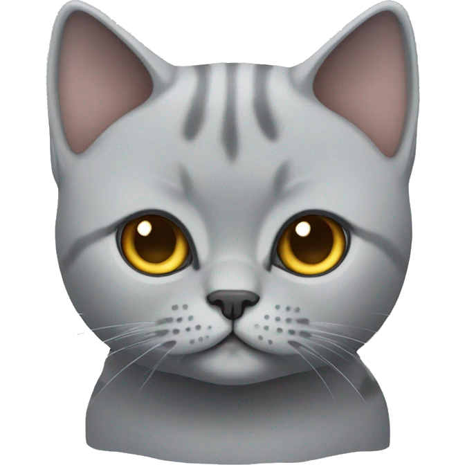 Cute Grey British shorthair cat full body emoji