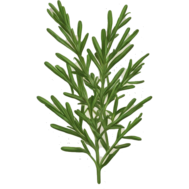 Rosemary  emoji