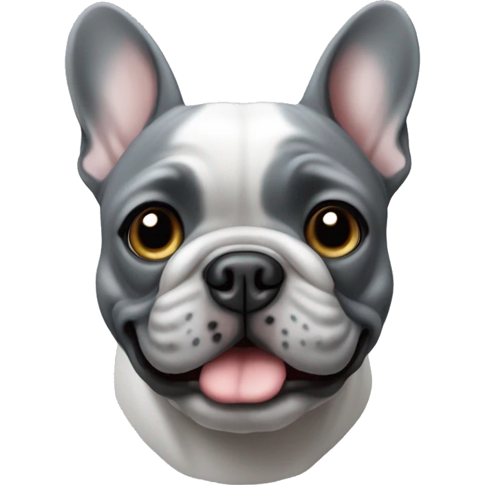 The French bulldog is completely grey with blue eyes emoji