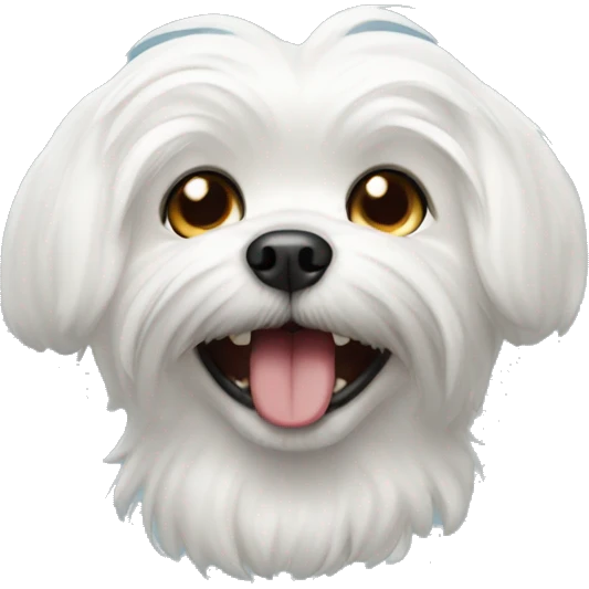 Maltese with teeth out emoji