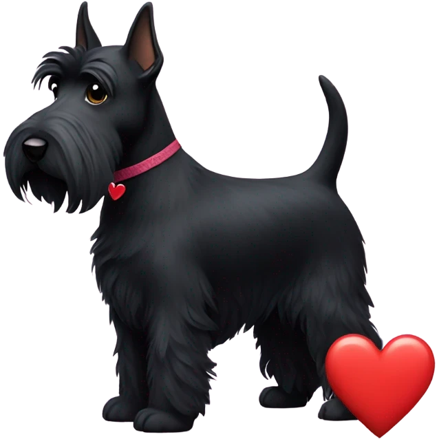 black Scottish terrier with heart on  emoji