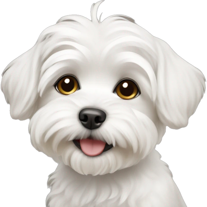 Maltese puppy emoji