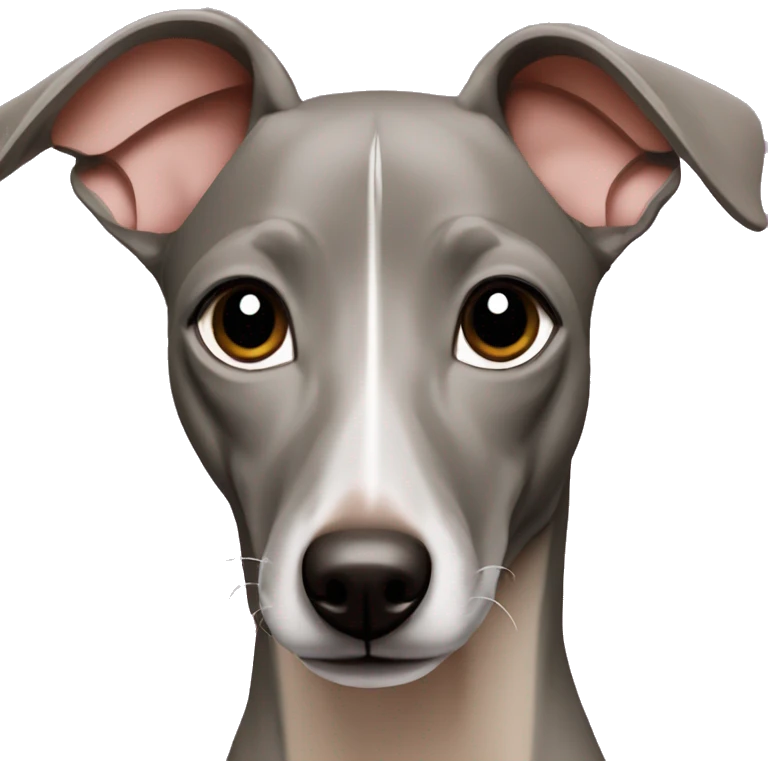 solid blue fawn italian greyhound emoji