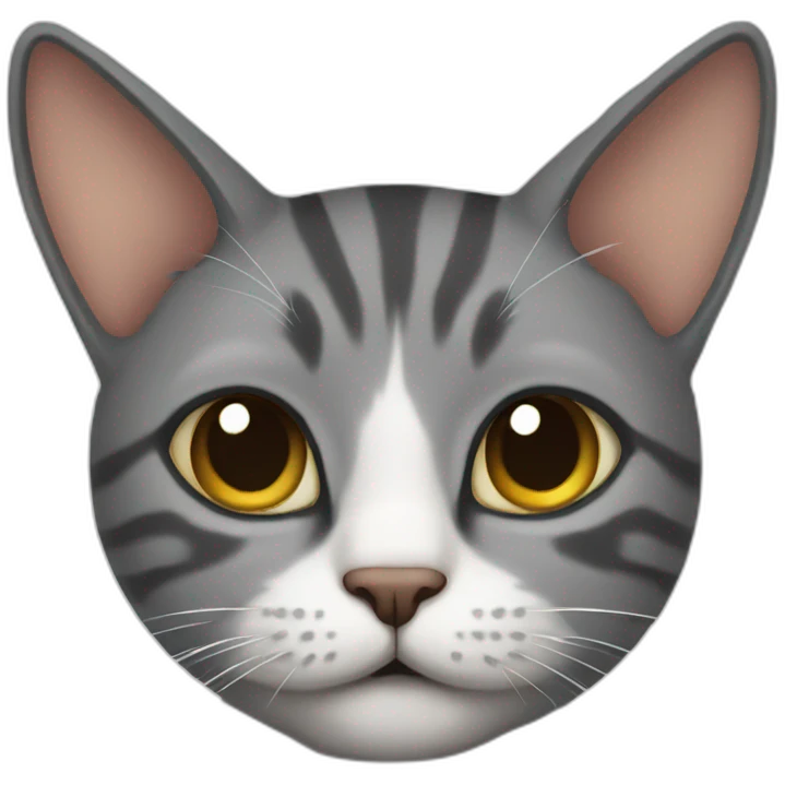 Cat dap emoji