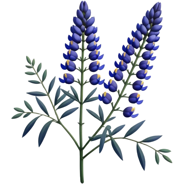 Realistic Still life detailed, dark blue Lupine Lupinus blossom emoji