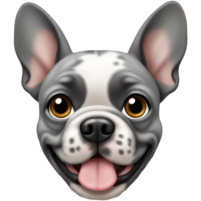 Gray Merle Frenchie emoji