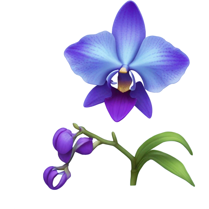 Blue orchid flower emoji