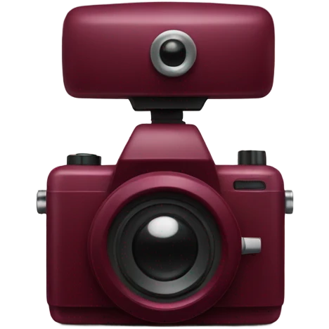burgundy camera 📷  emoji