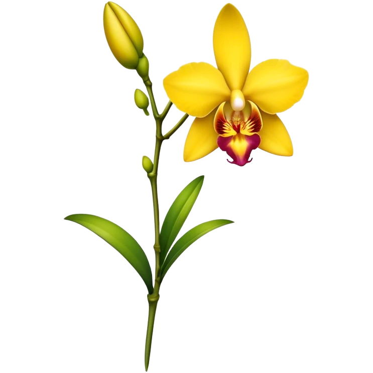 single yellow Dendrobium Orchid flower, stem emoji
