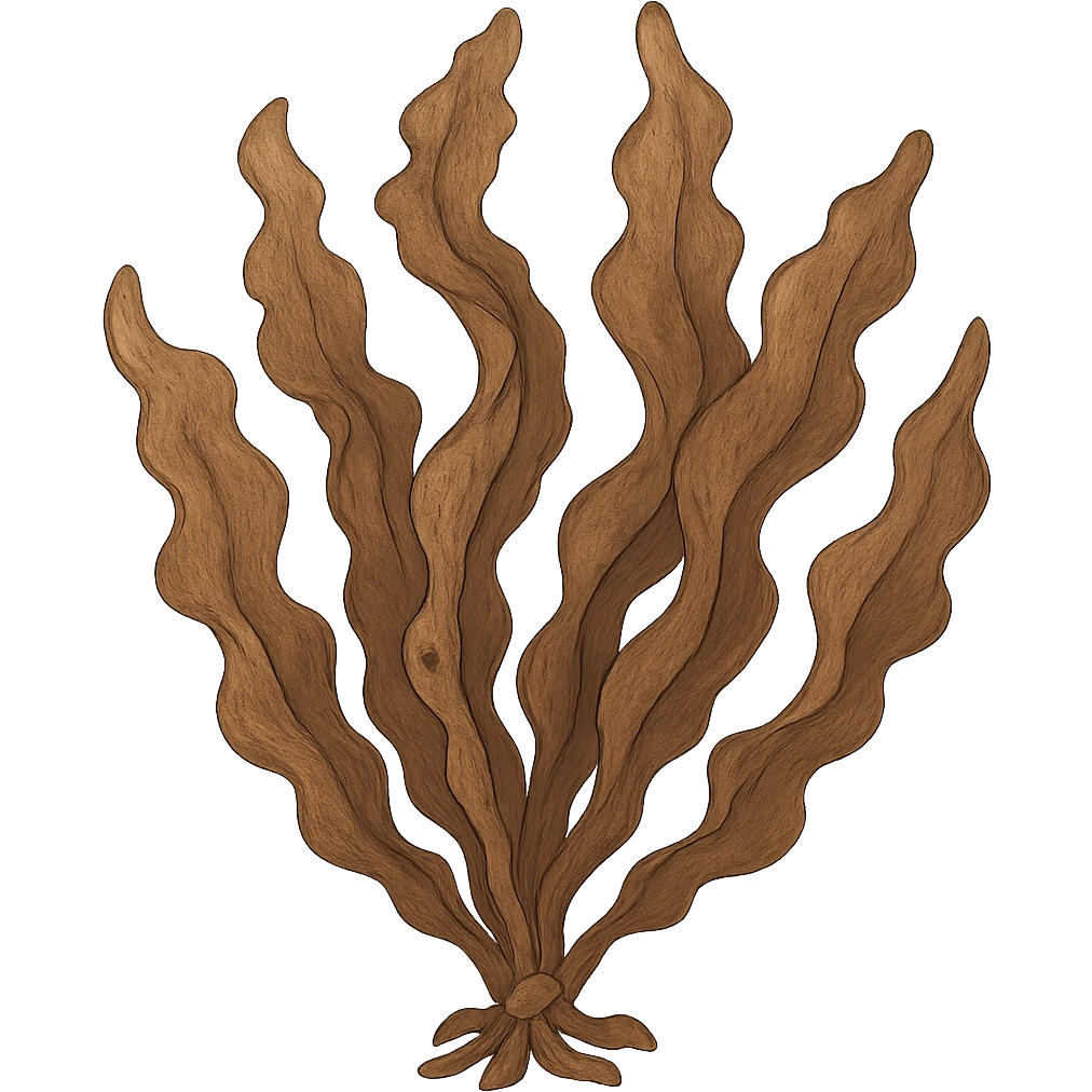 ghibli style brown seaweed emoji