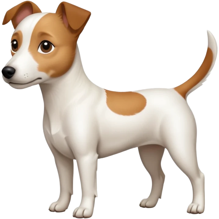a full body white jack russel looking dog the size of a kelpie with light brown ears and a light brown patch on one eye and a large snout emoji