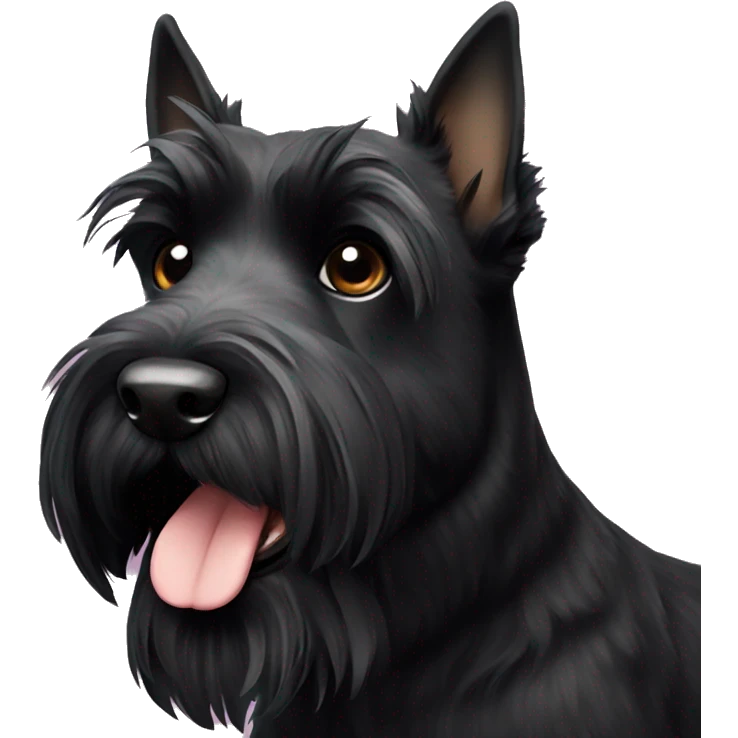 Black Scottish terrier  emoji