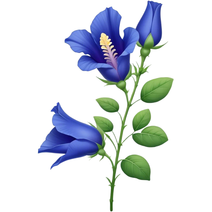 single Blue Butterfly Pea flower, stem, leaf emoji