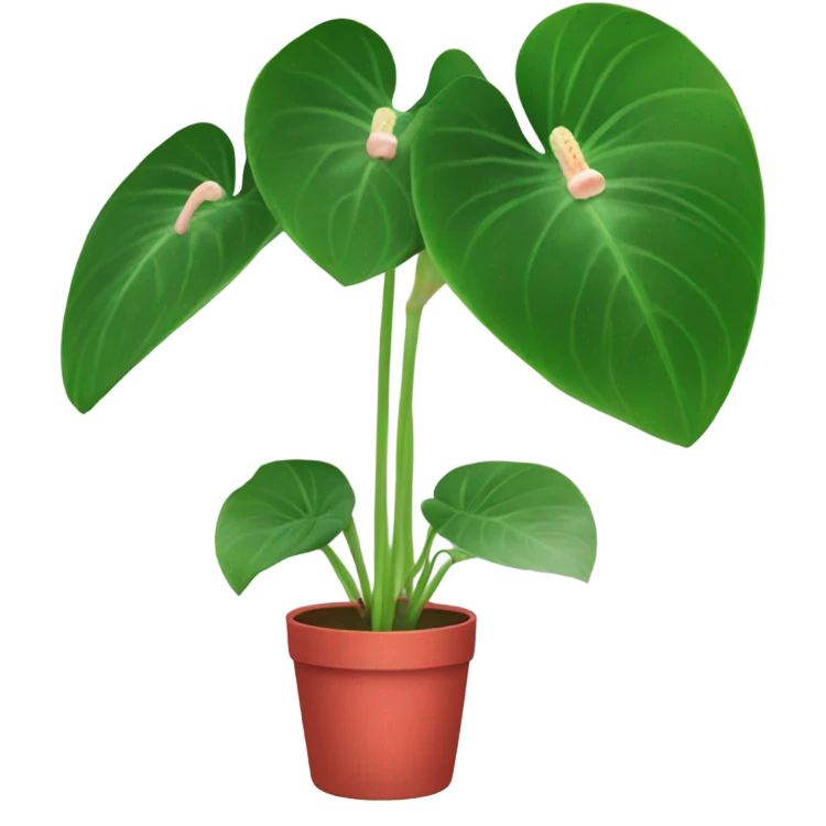 Anthurium emoji