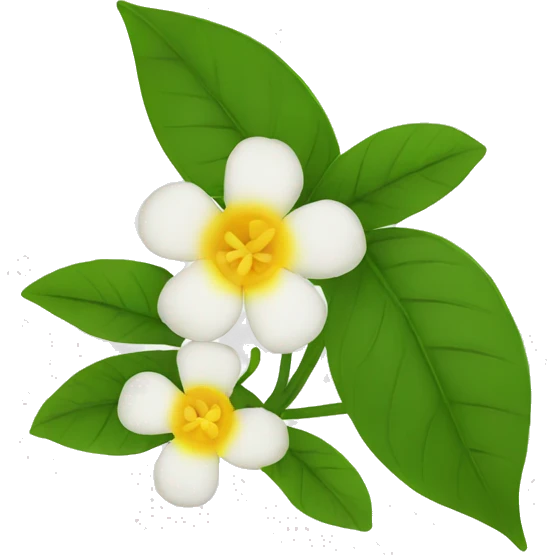 jasmins flowers with leafs emoji