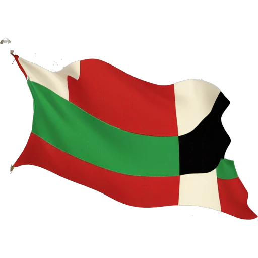 Arab revolt flag 1917 emoji