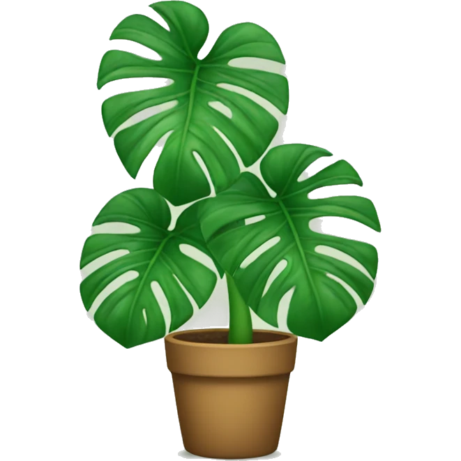 Monstera plant emoji