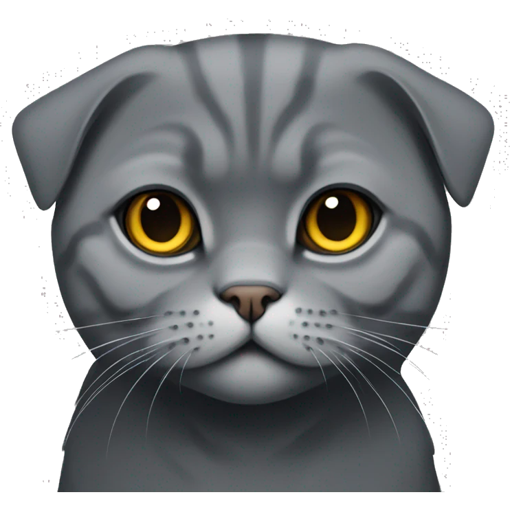 Adult Scottish fold cat dark grey colour emoji