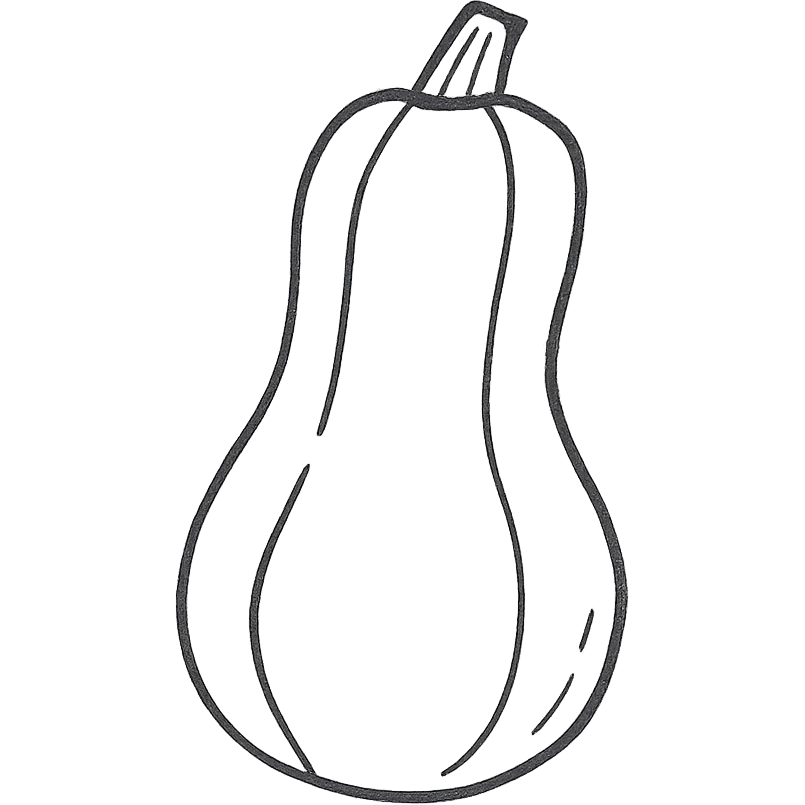 hand-drawn outlined icon of a squash fruit with playful lines emoji