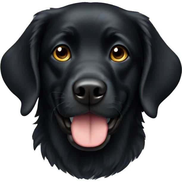 black retriver  emoji