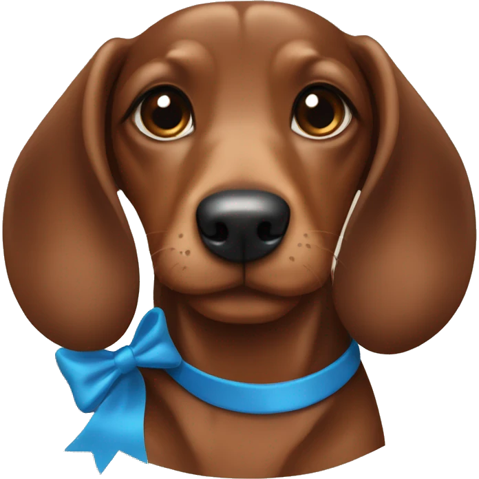 girl brown sausage dog with blue bow emoji