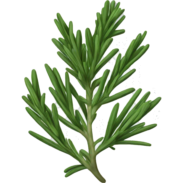 Rosemary emoji