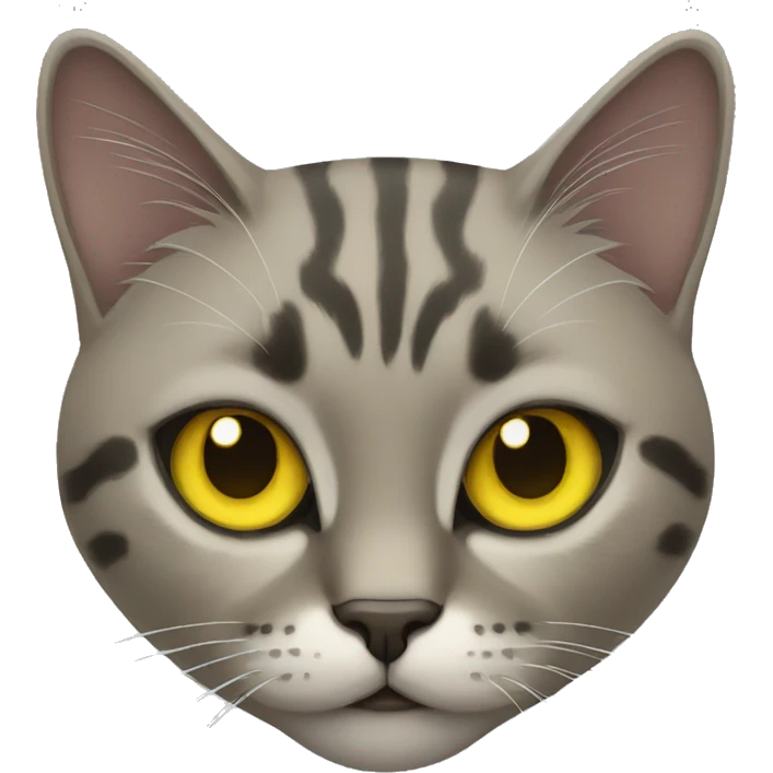 Yellow-eyed cat  emoji