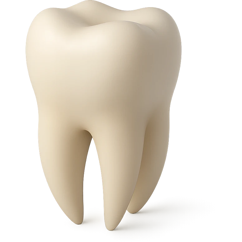 realistic human tooth with subtle shadows emoji