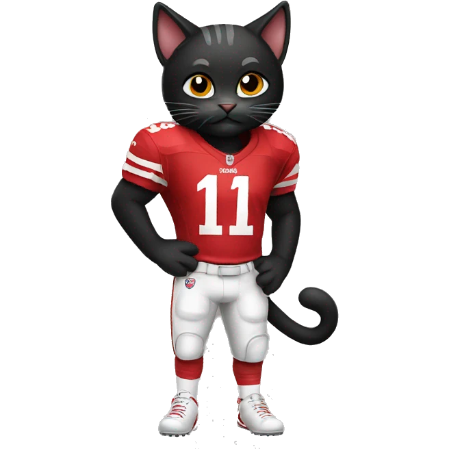 Black cat wearing a niners jersey emoji