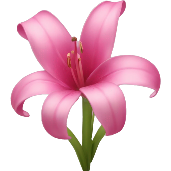 Pink Lillys  emoji